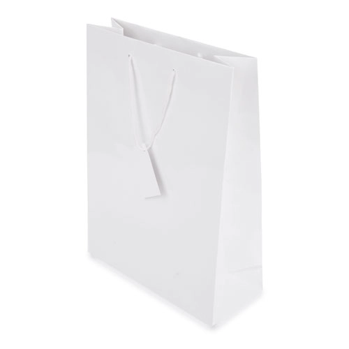 Immagine BORSA REGALO PLASTIFICATA 