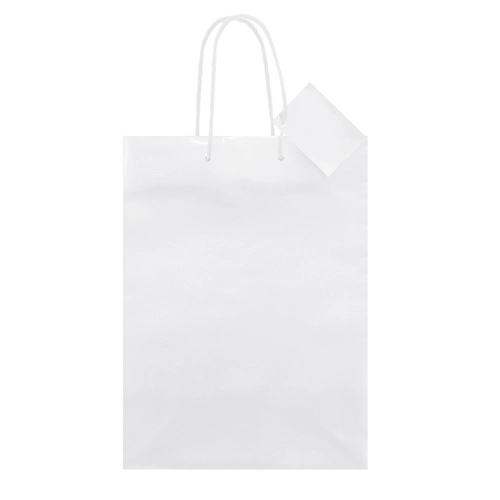 Immagine BORSA REGALO PLASTIFICATA 