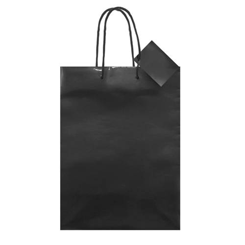 Immagine BORSA REGALO PLASTIFICATA 