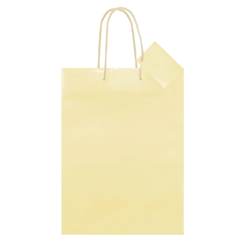 Immagine BORSA REGALO PLASTIFICATA 