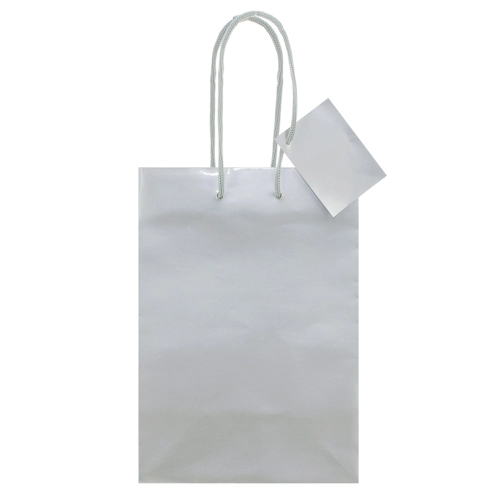 Immagine BORSA REGALO PLASTIFICATA 