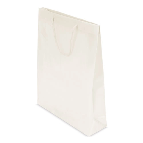 Immagine BORSA REGALO PVC 