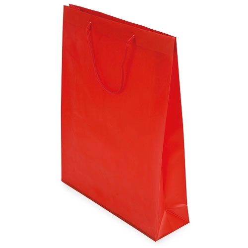 Immagine BORSA REGALO PVC 