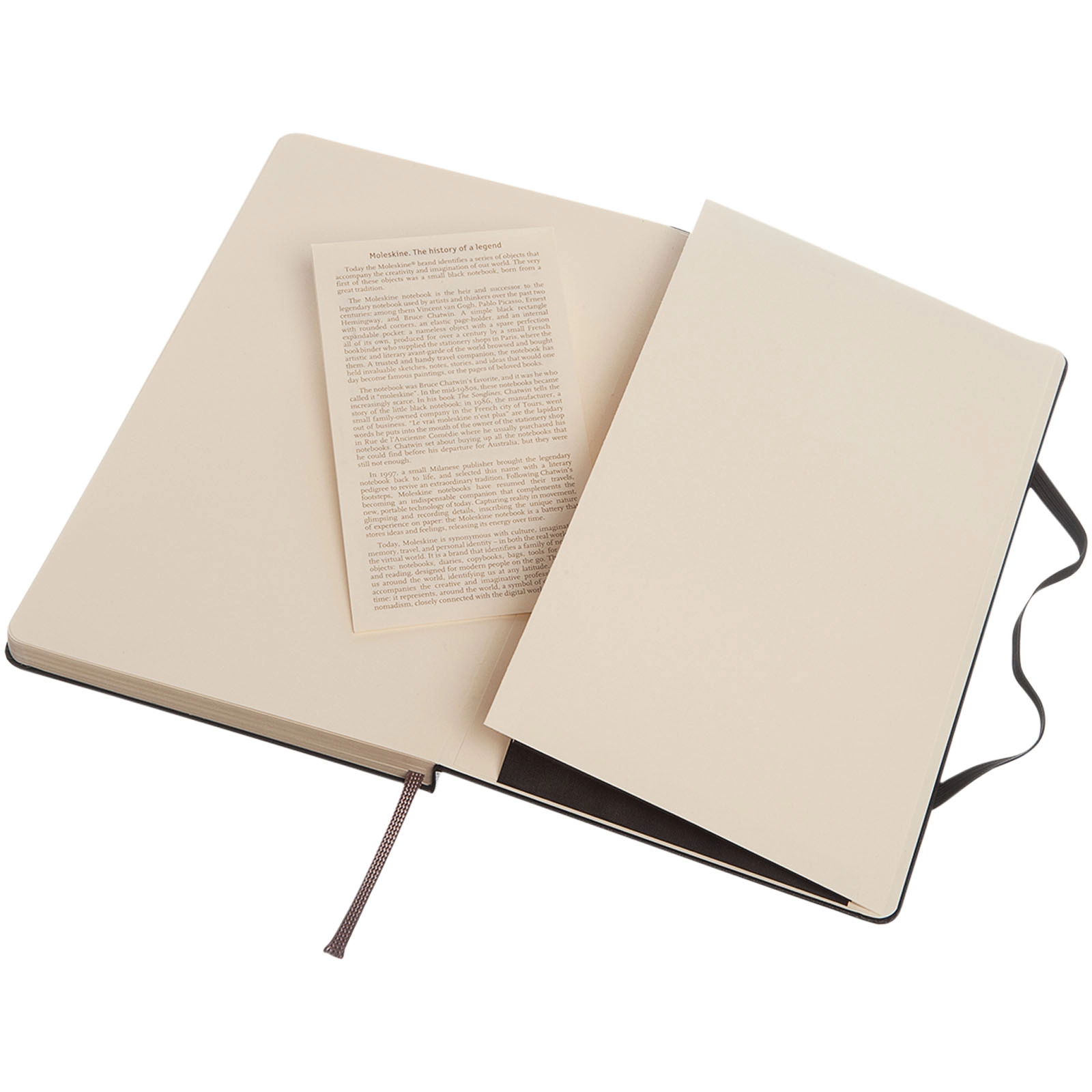 Immagine Blocco note con copertina rigida - punteggiato Moleskine Classic L
