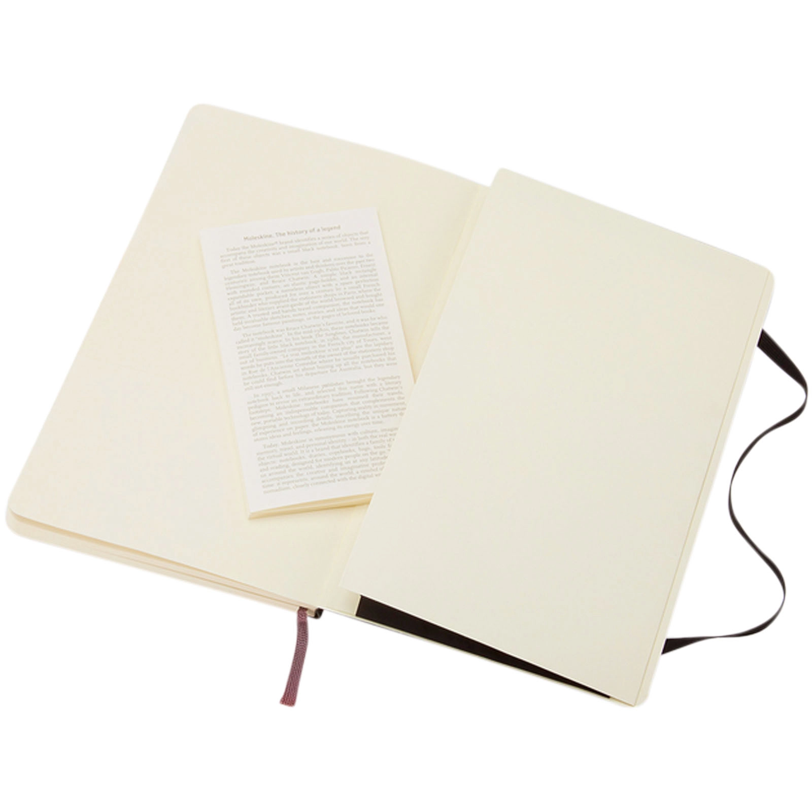 Immagine Blocco note con copertina morbida - a righe Moleskine Classic L