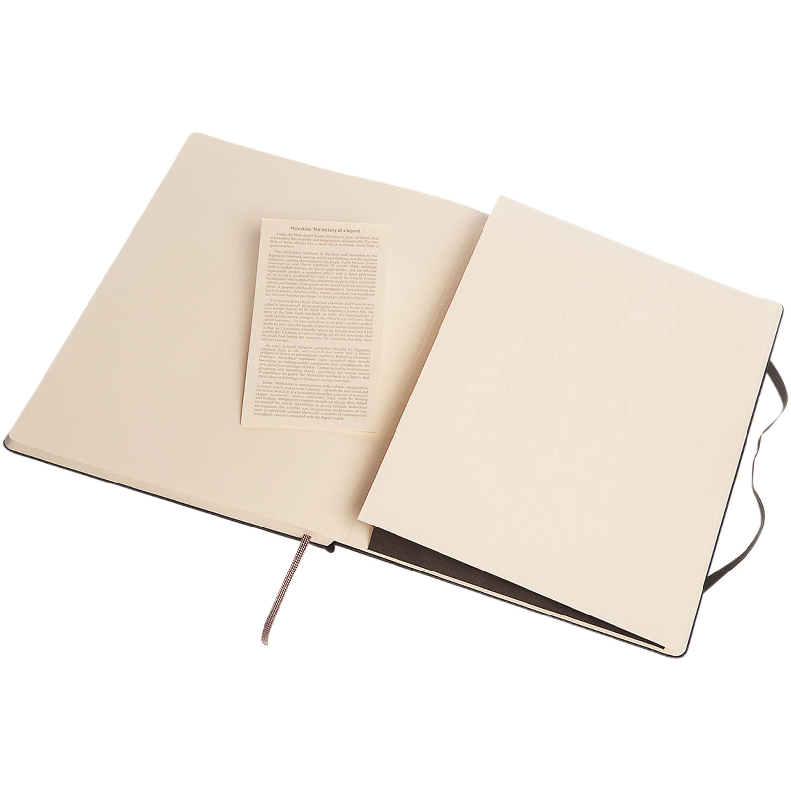 Immagine Blocco note con copertina rigida - a righe Moleskine Classic XL