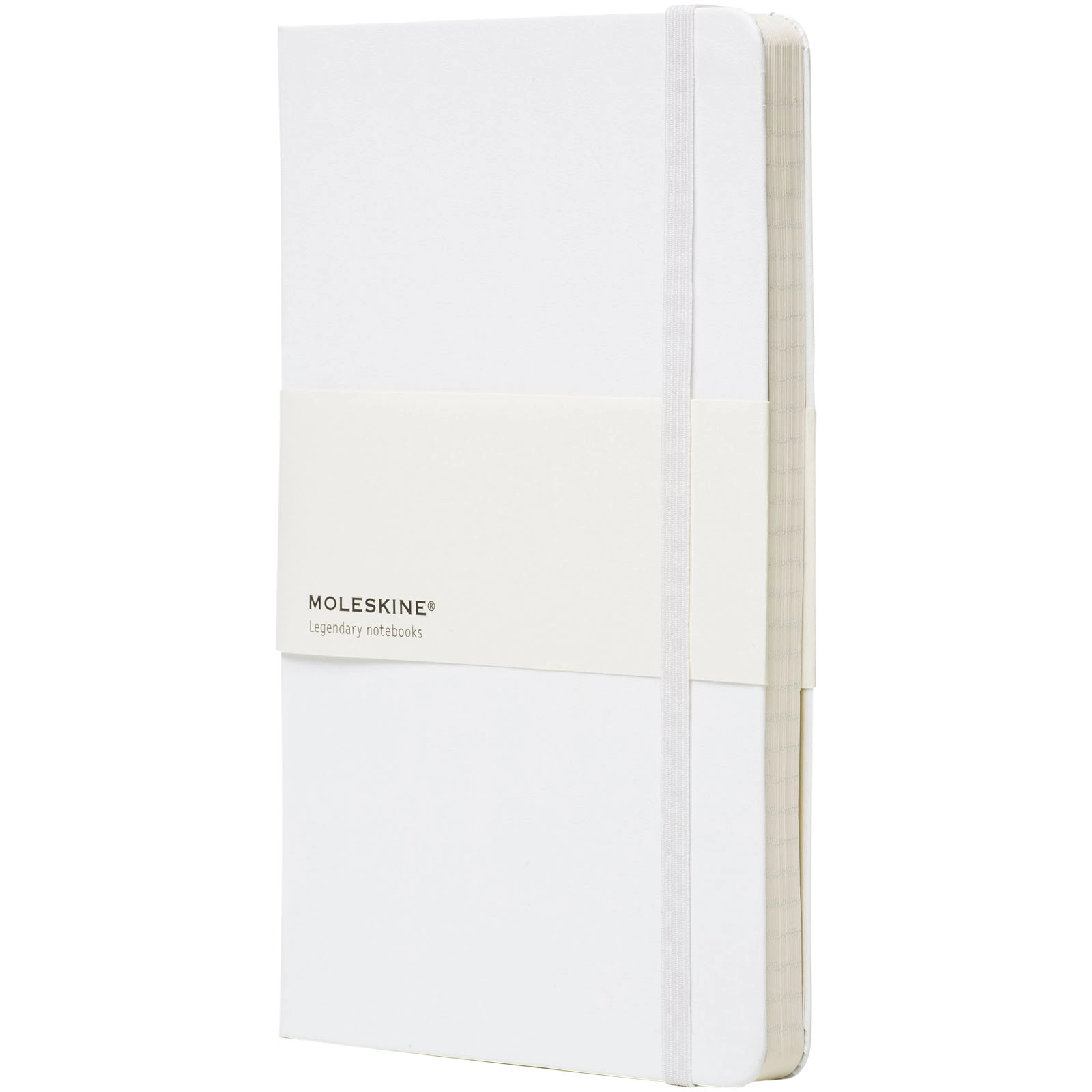 Immagine Blocco note con copertina rigida - a righe Moleskine Classic L