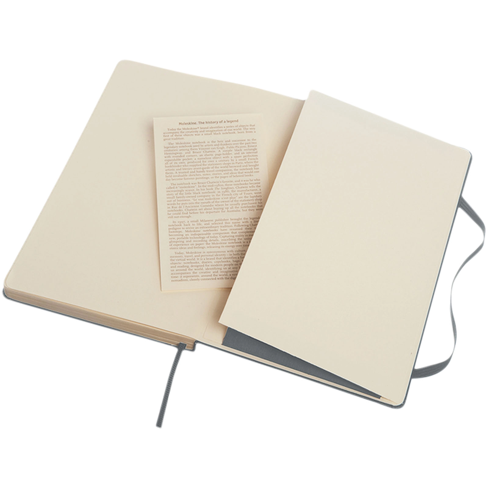Immagine Blocco note con copertina rigida - a righe Moleskine Classic L