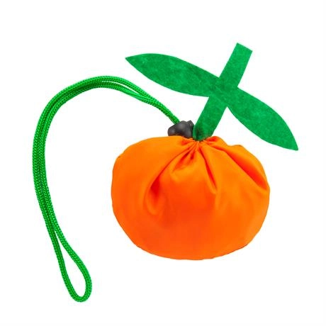 Immagine PIEGHEVOLE FOCHA