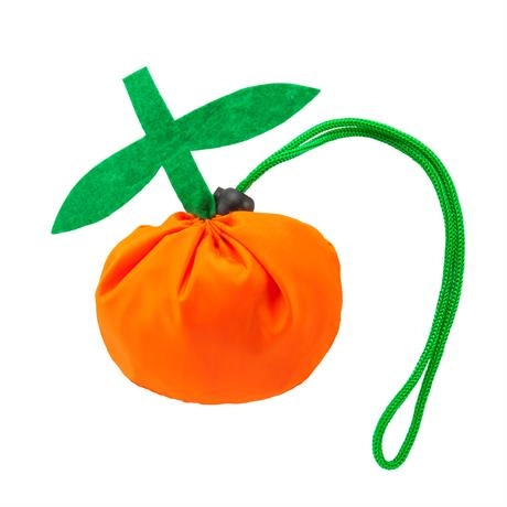 Immagine PIEGHEVOLE FOCHA