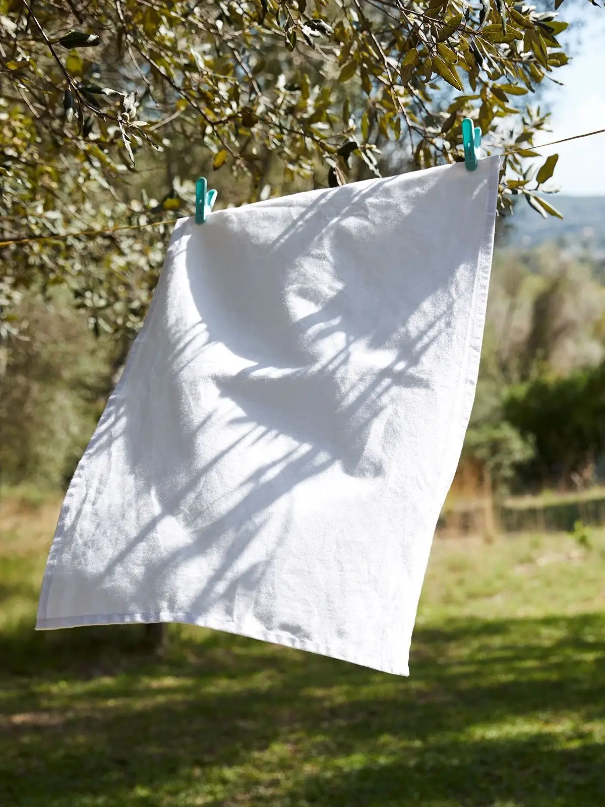 Immagine Tea Towel