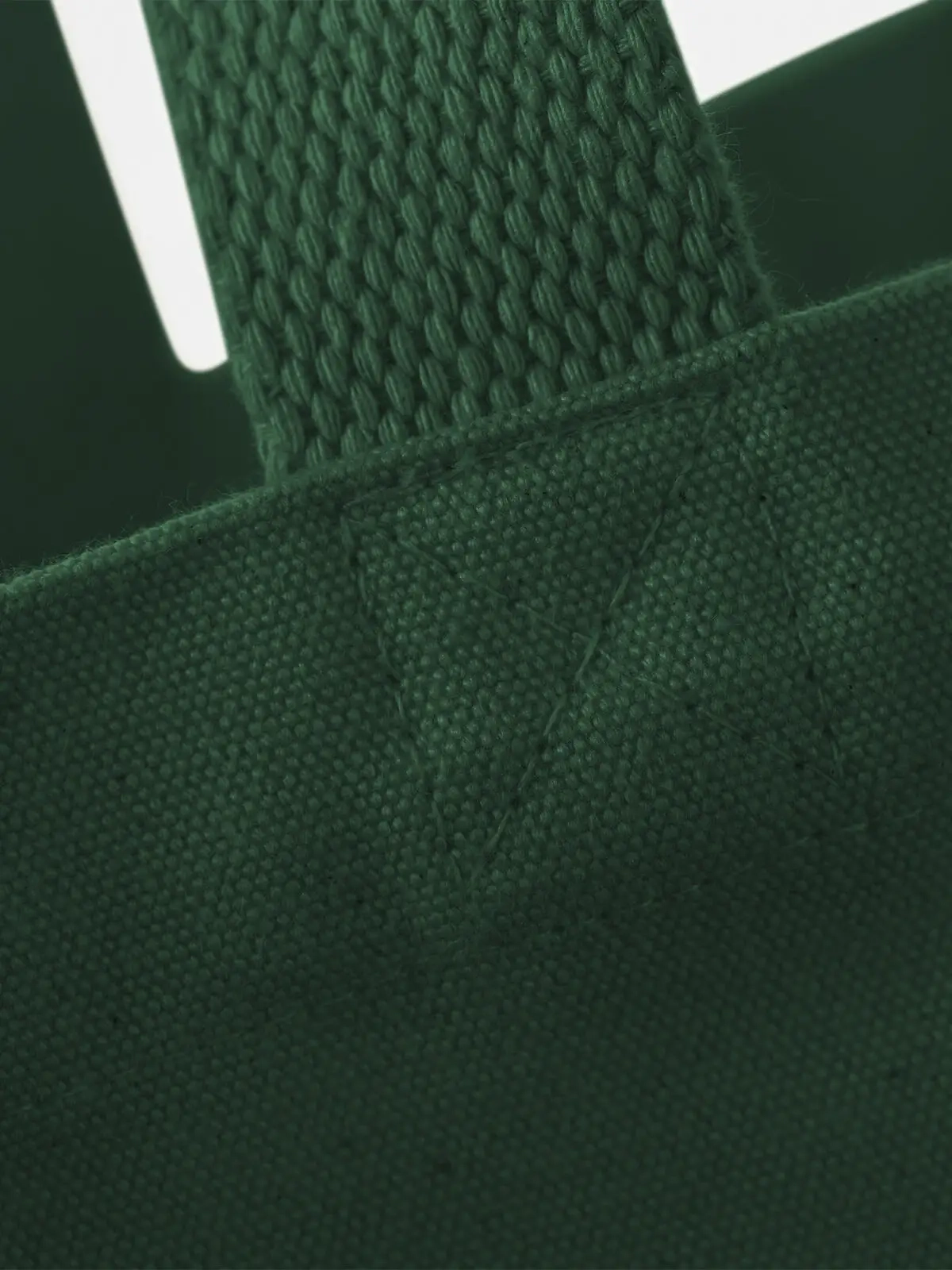 Immagine Oversized Canvas Tote Bag