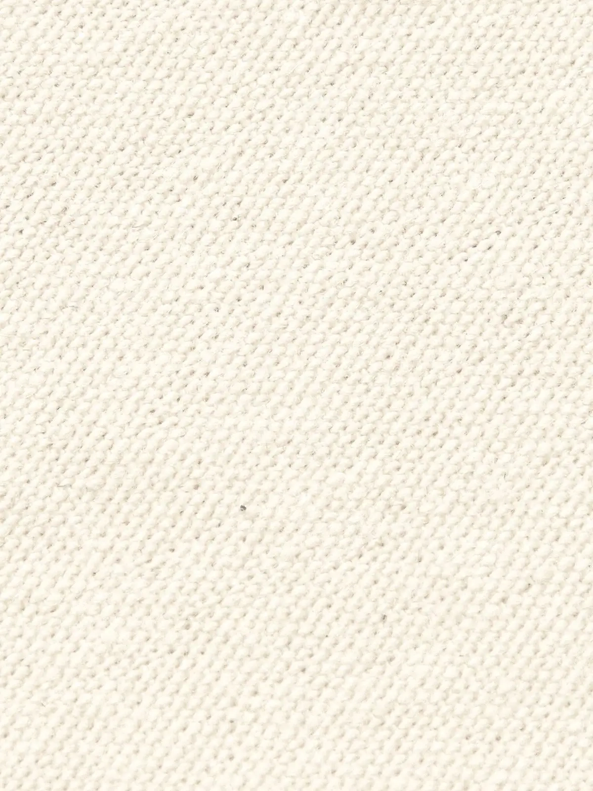 Immagine Canvas Classic Shopper