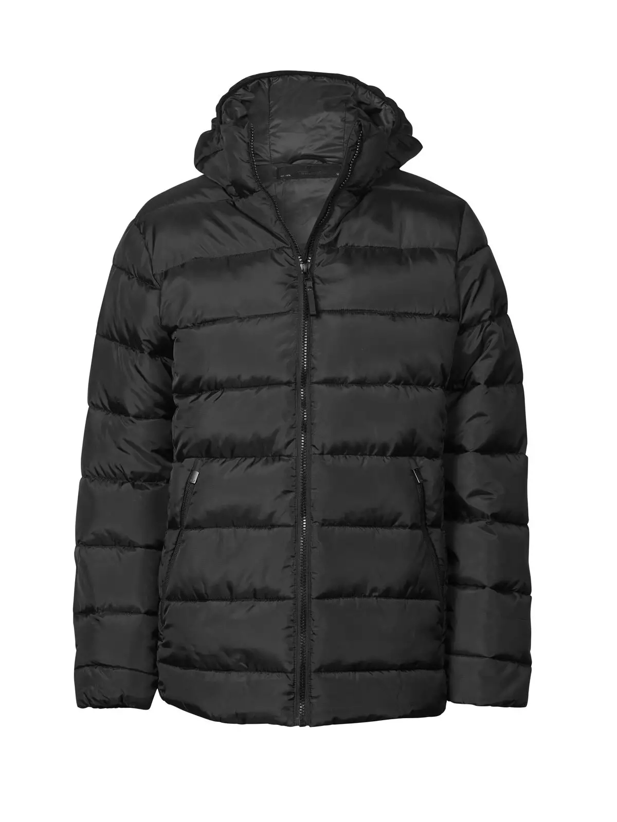 Immagine Womens Lite Hooded Jacket
