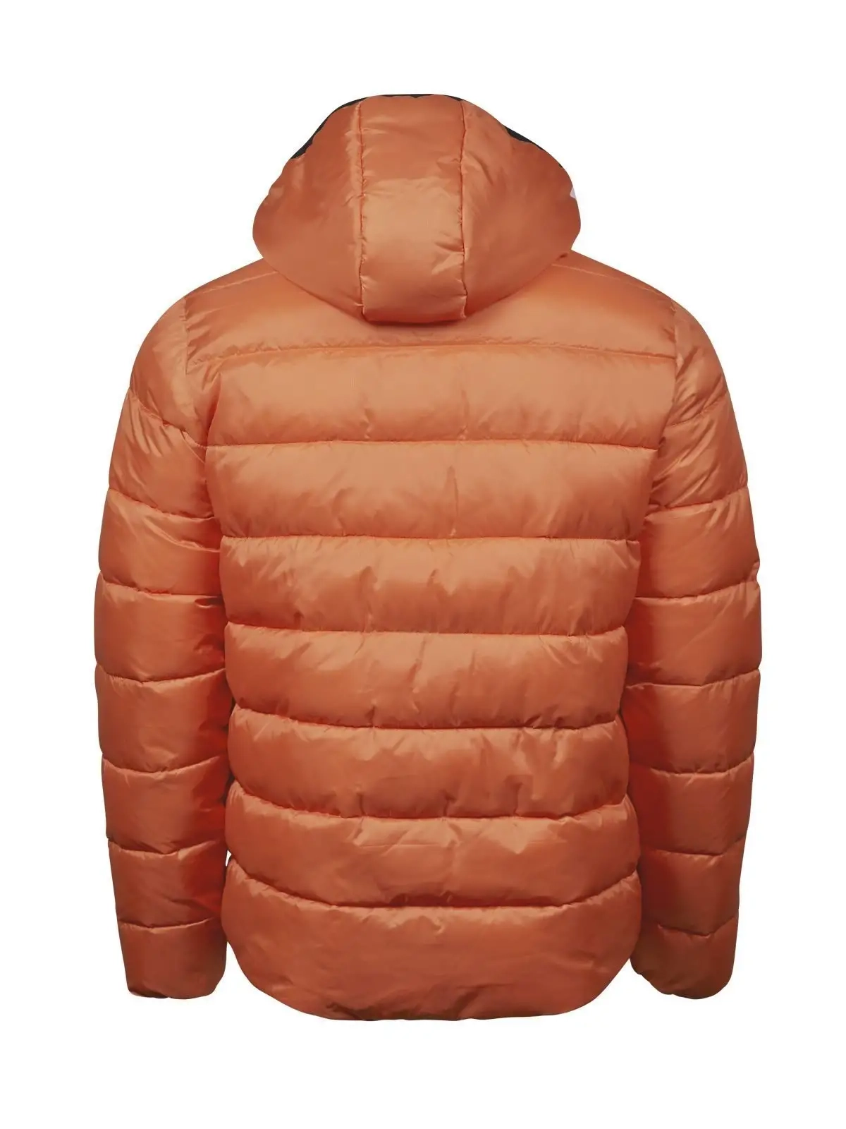 Immagine Lite Hooded Jacket