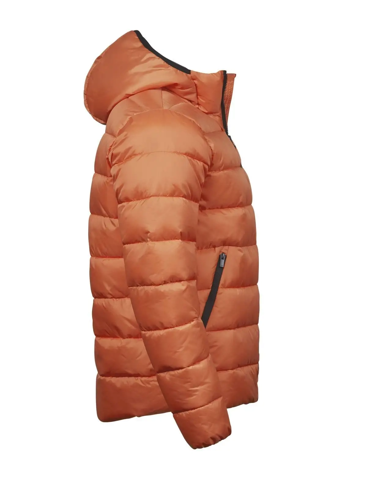 Immagine Lite Hooded Jacket