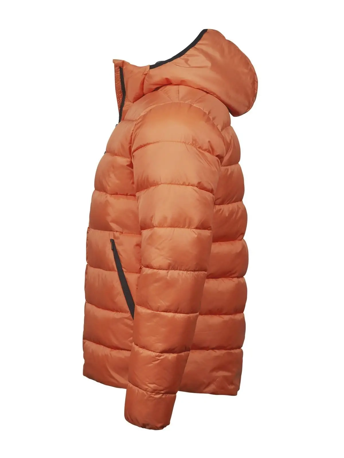 Immagine Lite Hooded Jacket