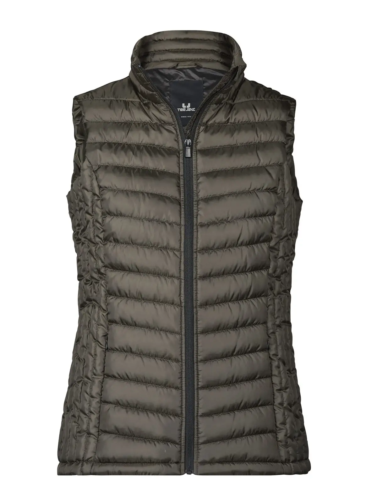 Immagine Ladies zepelin vest