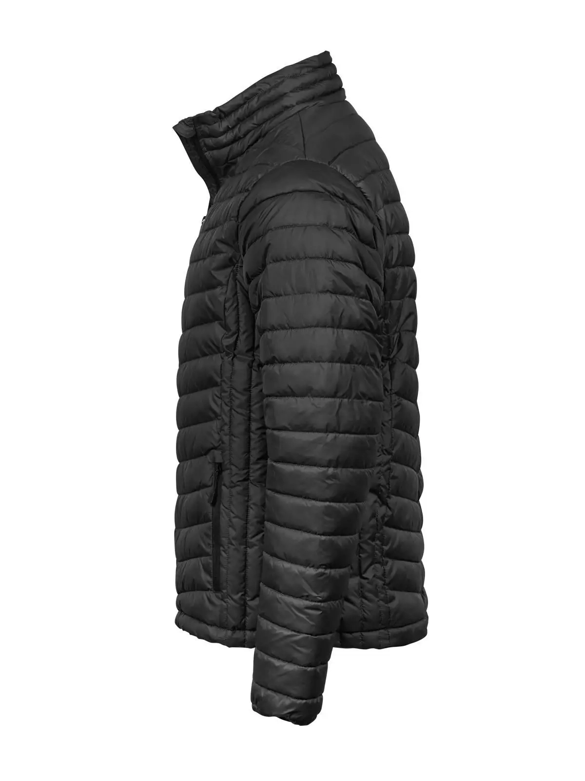 Immagine Zepelin jacket