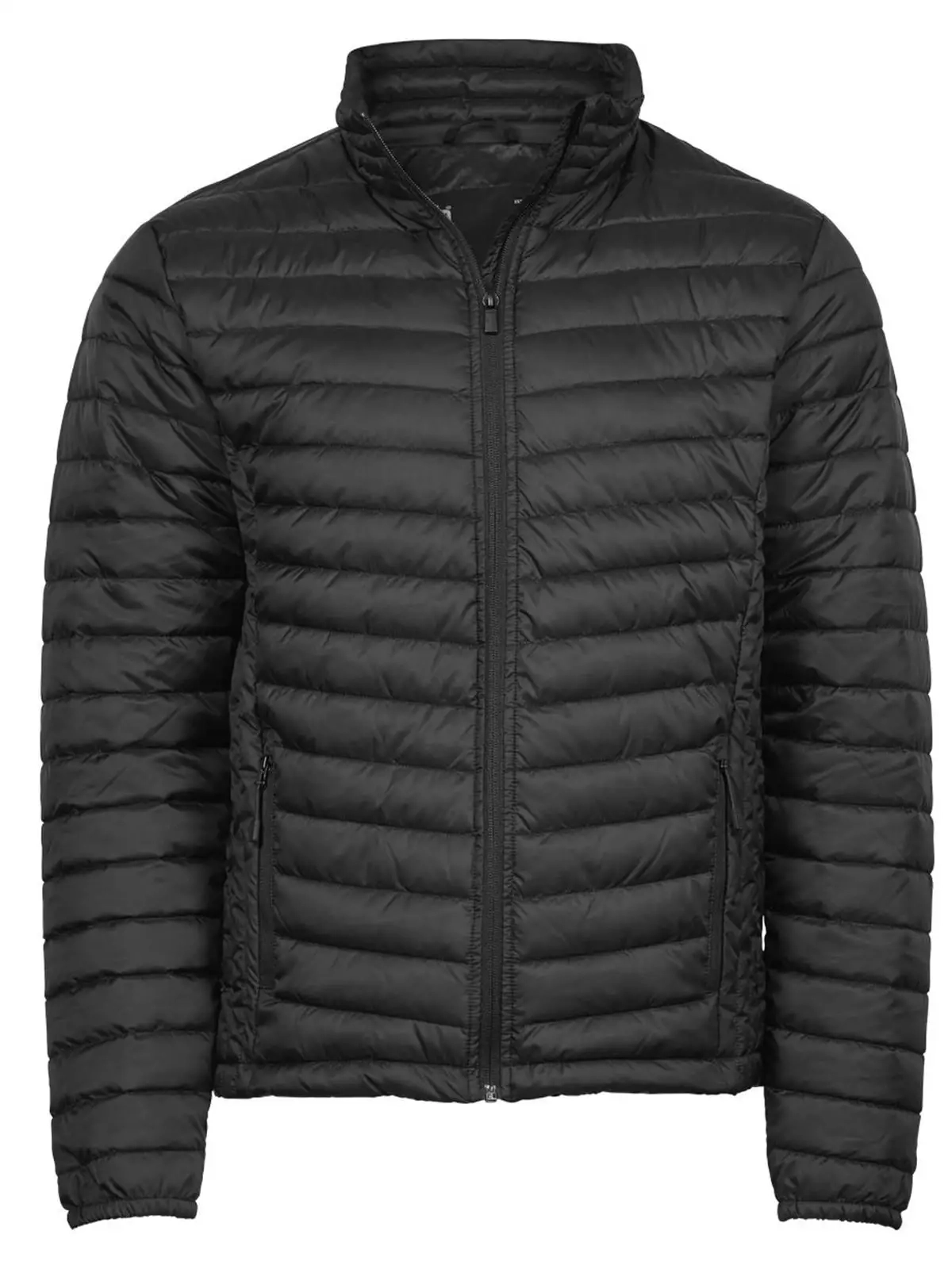 Immagine Zepelin jacket