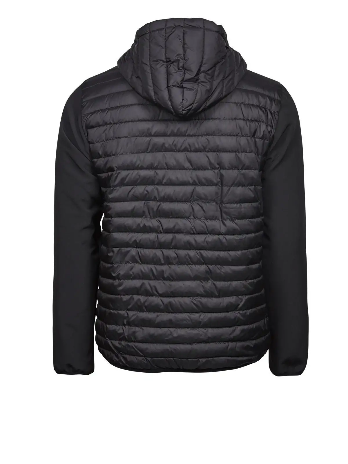 Immagine Hooded Crossover Jacket