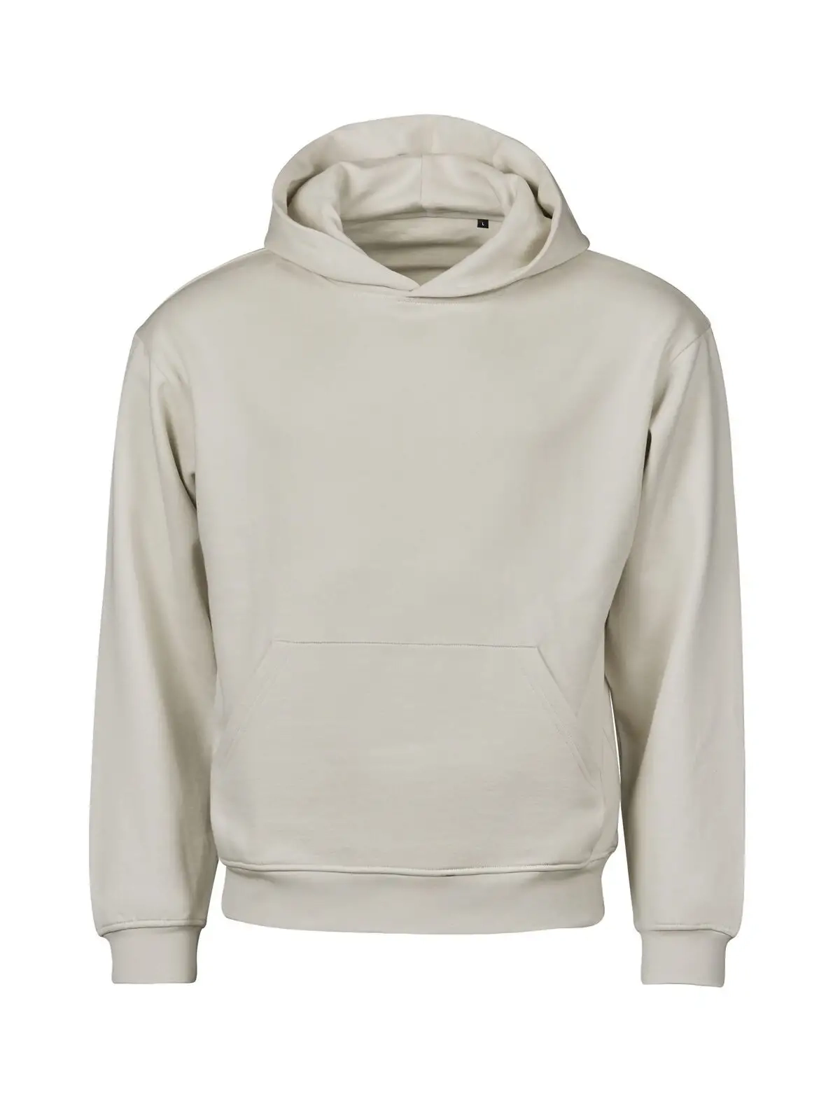 Immagine Urban Heavy Loose Fit Hooded Sweatshirt