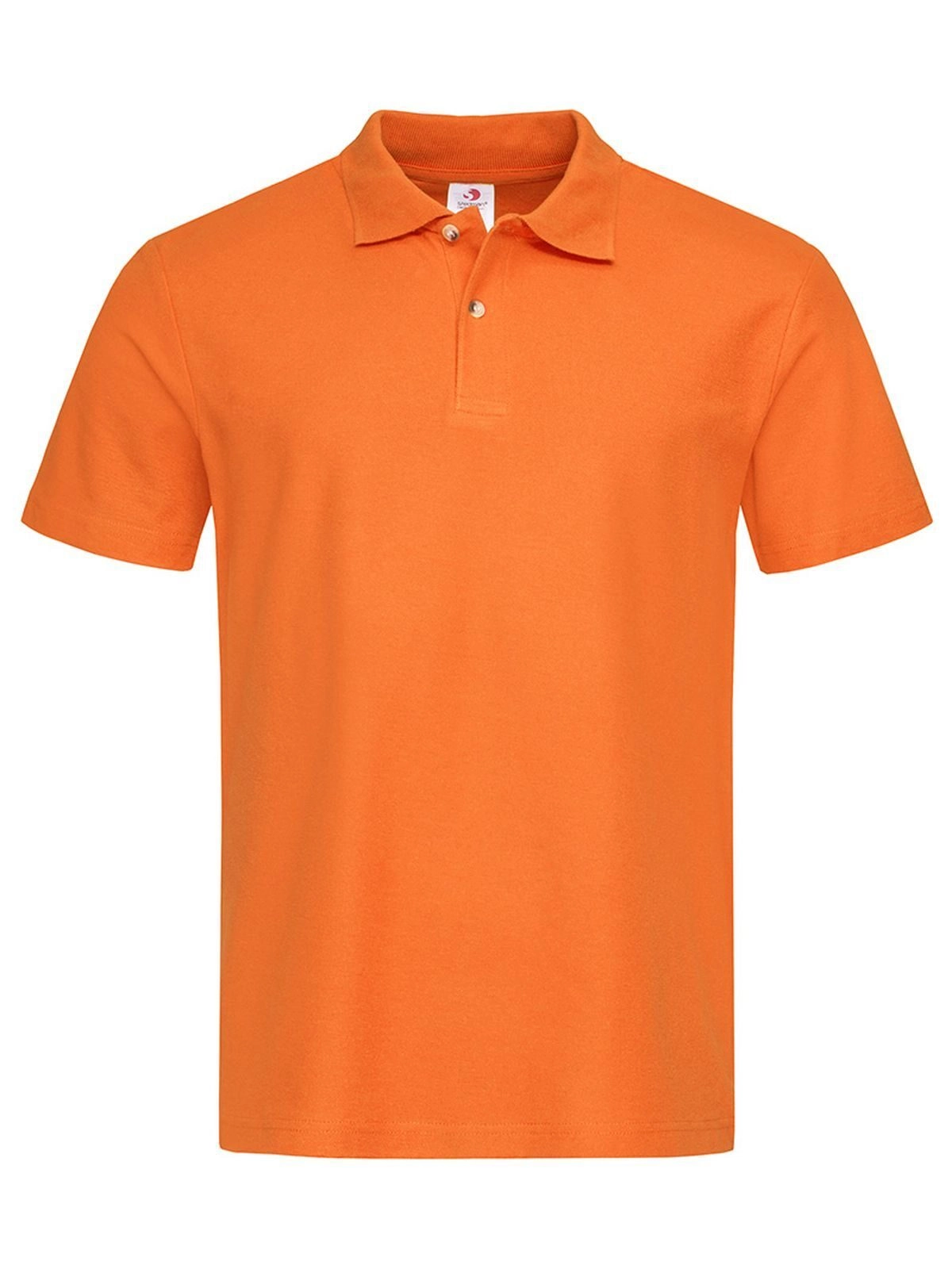 Immagine Polo