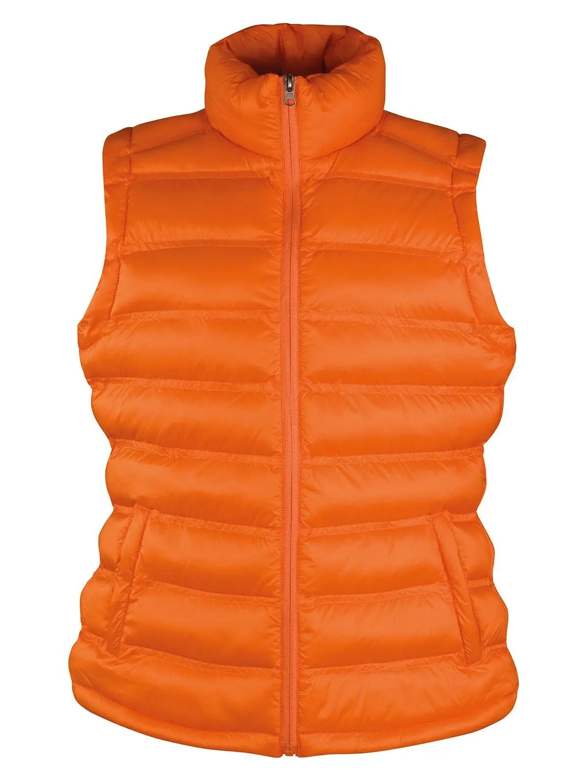Immagine Womens Ice Bird Padded Gilet