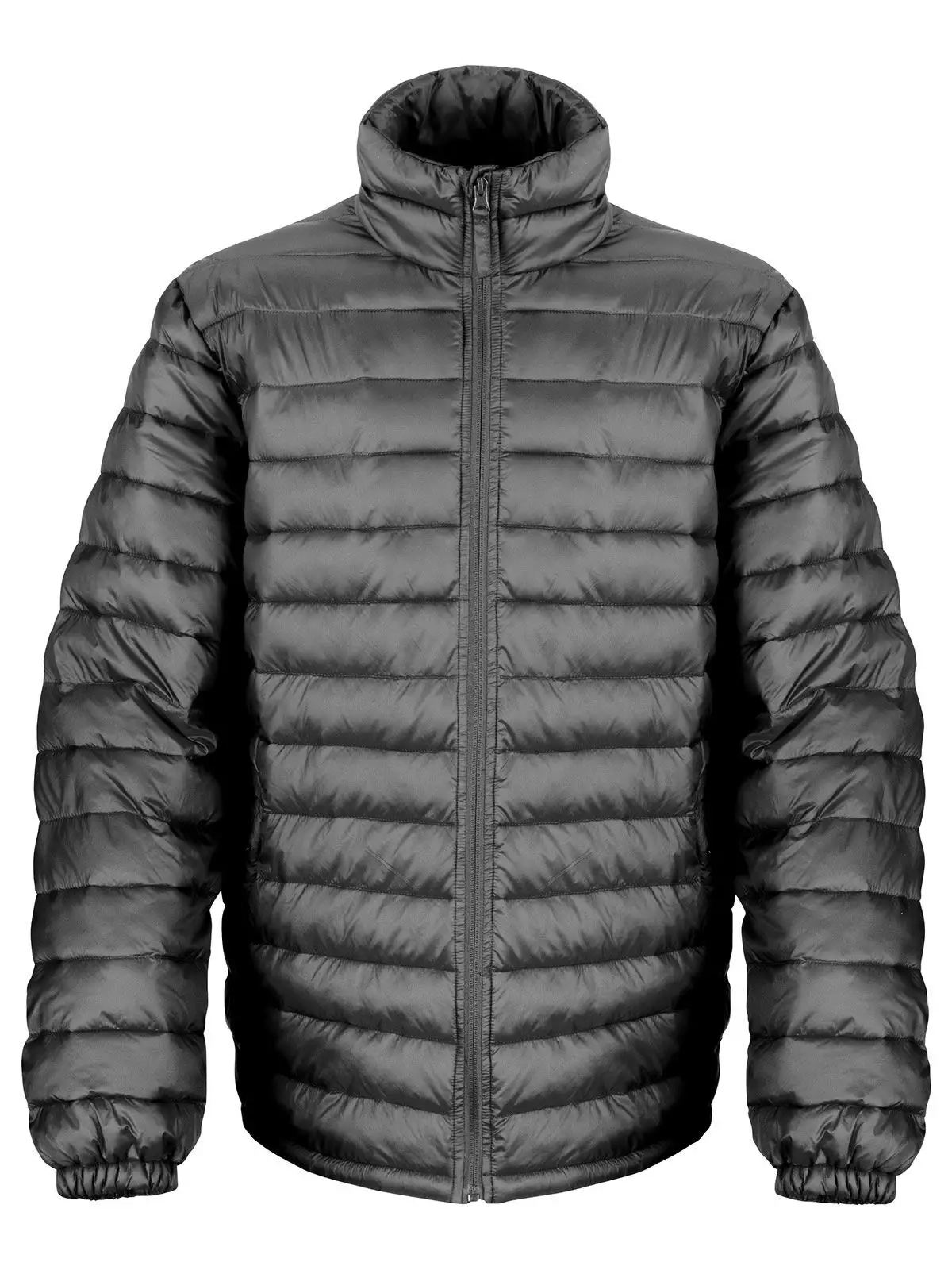 Immagine Mens Ice Bird Padded Jacket