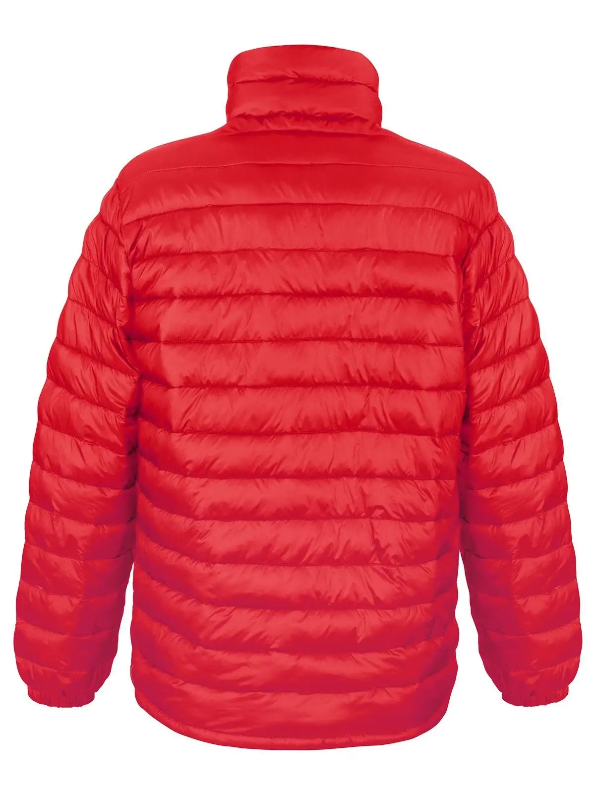 Immagine Mens Ice Bird Padded Jacket