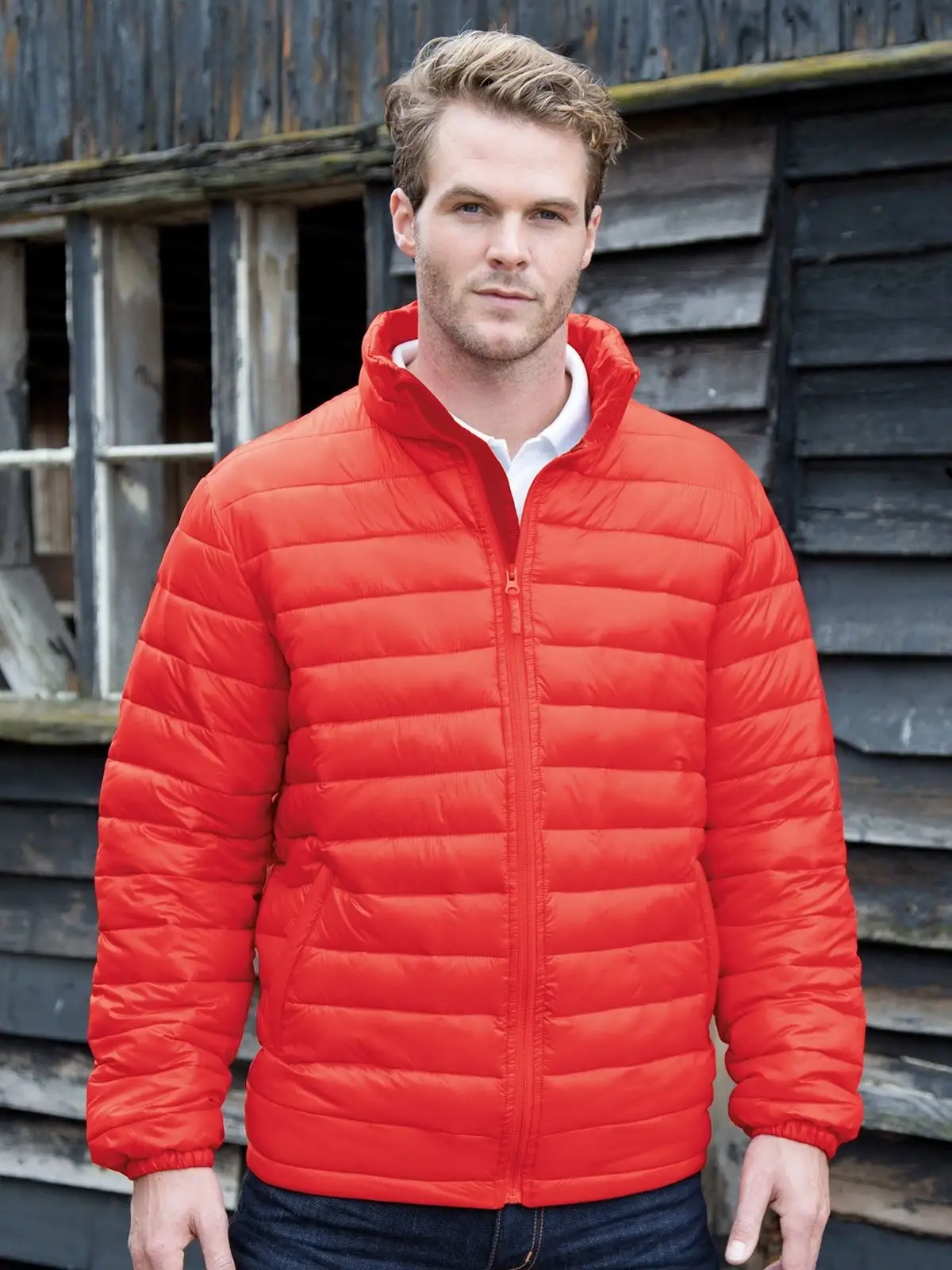 Immagine Mens Ice Bird Padded Jacket