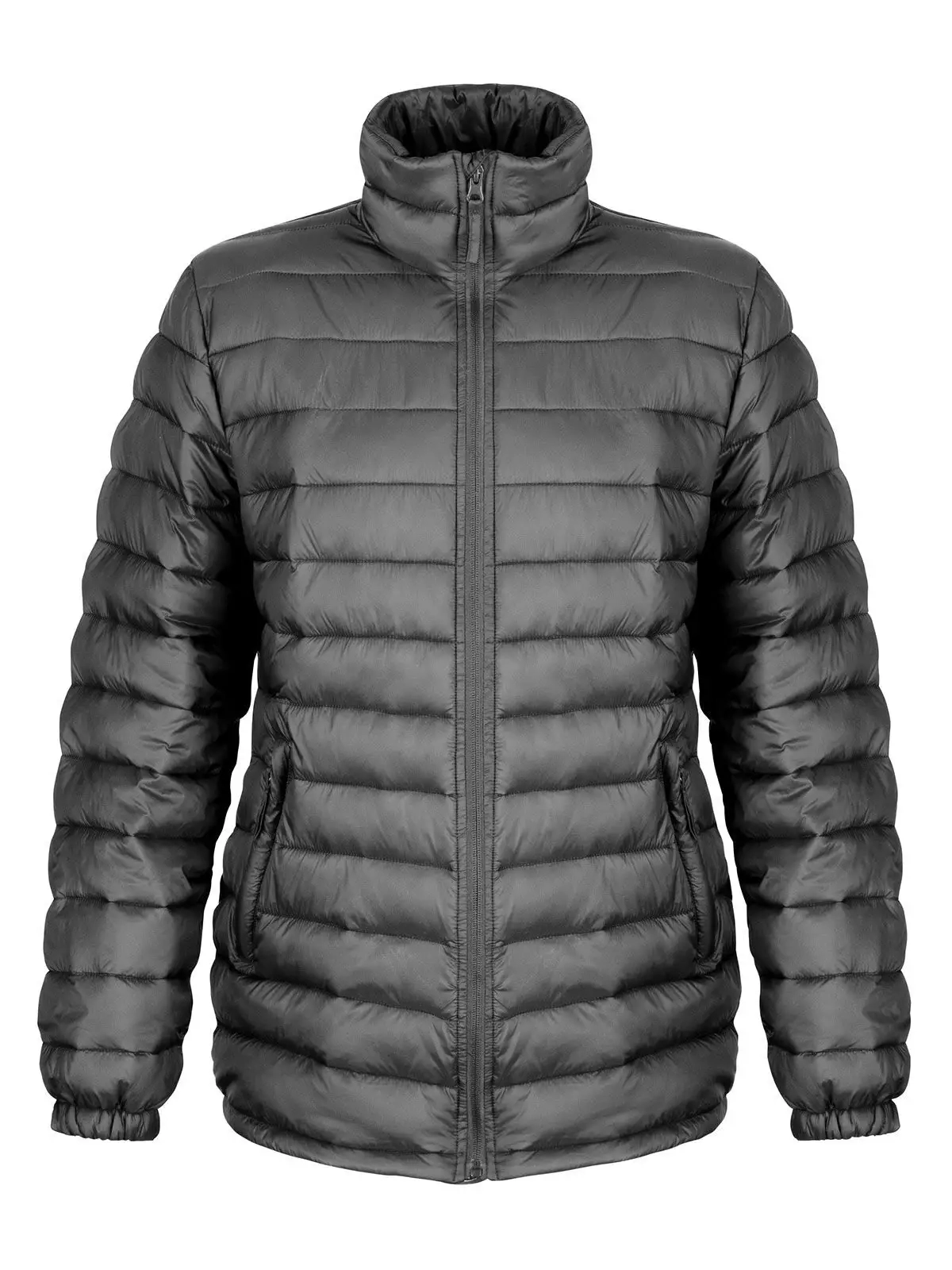 Immagine Womens Ice Bird Padded Jacket