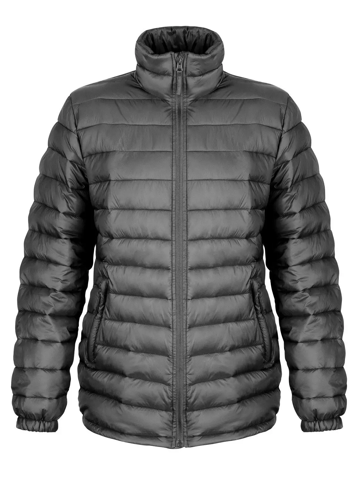Immagine Womens Ice Bird Padded Jacket