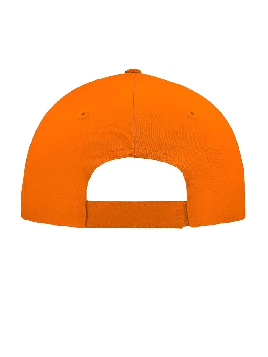 Immagine 5 Panel Cap