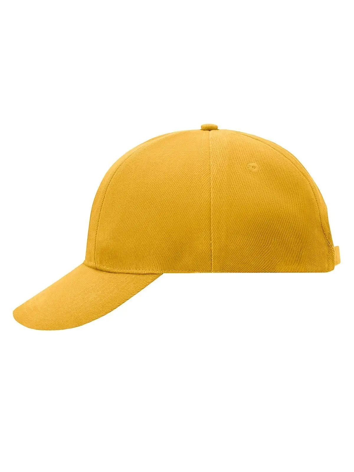 Immagine Turned 6 Panel Cap Laminated