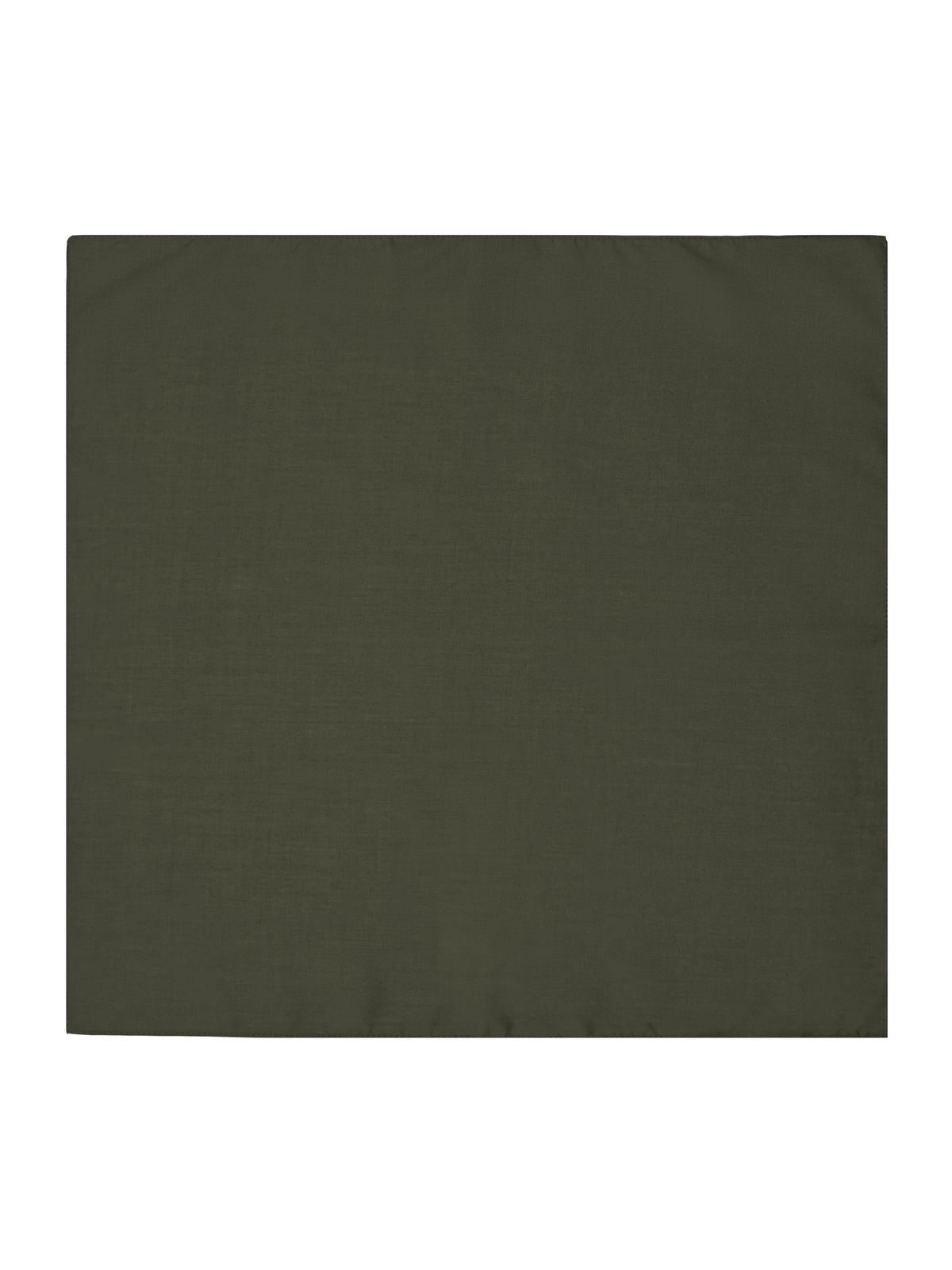 Immagine Bandana