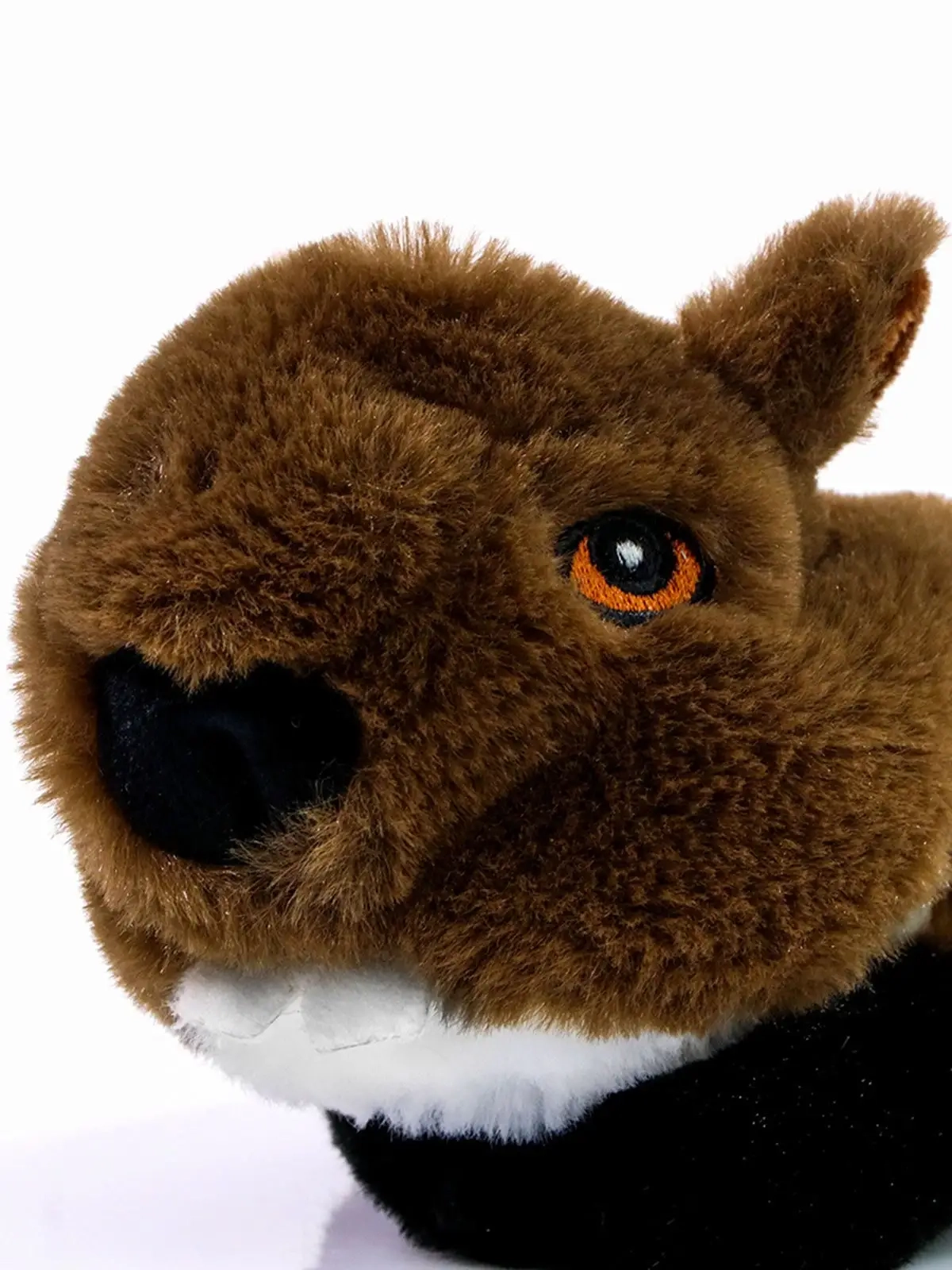 Immagine Dog toy RecycleBeaver
