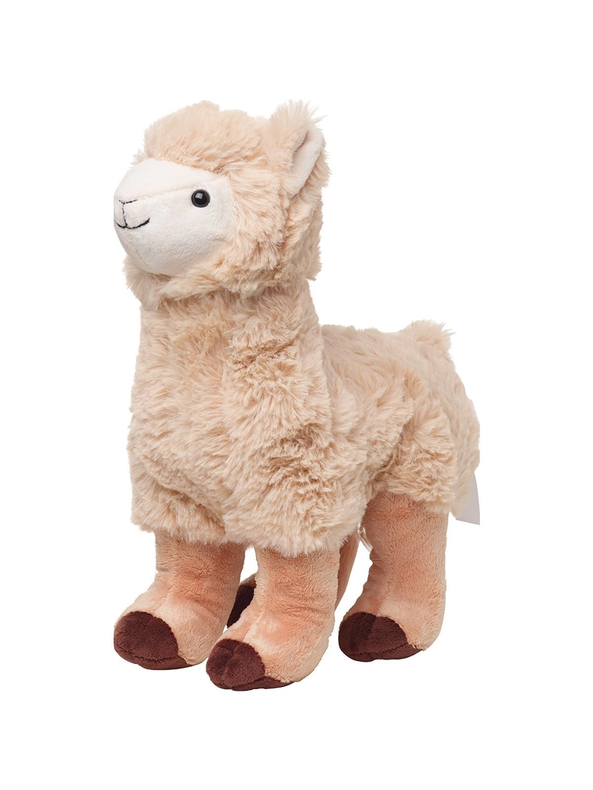 Immagine Lama Tamia
