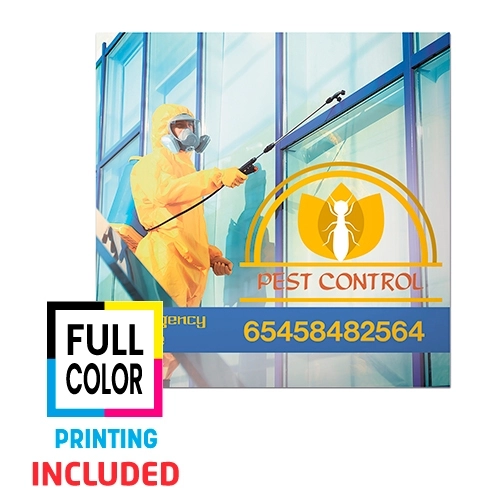 Immagine CALAMITA QUADRATA