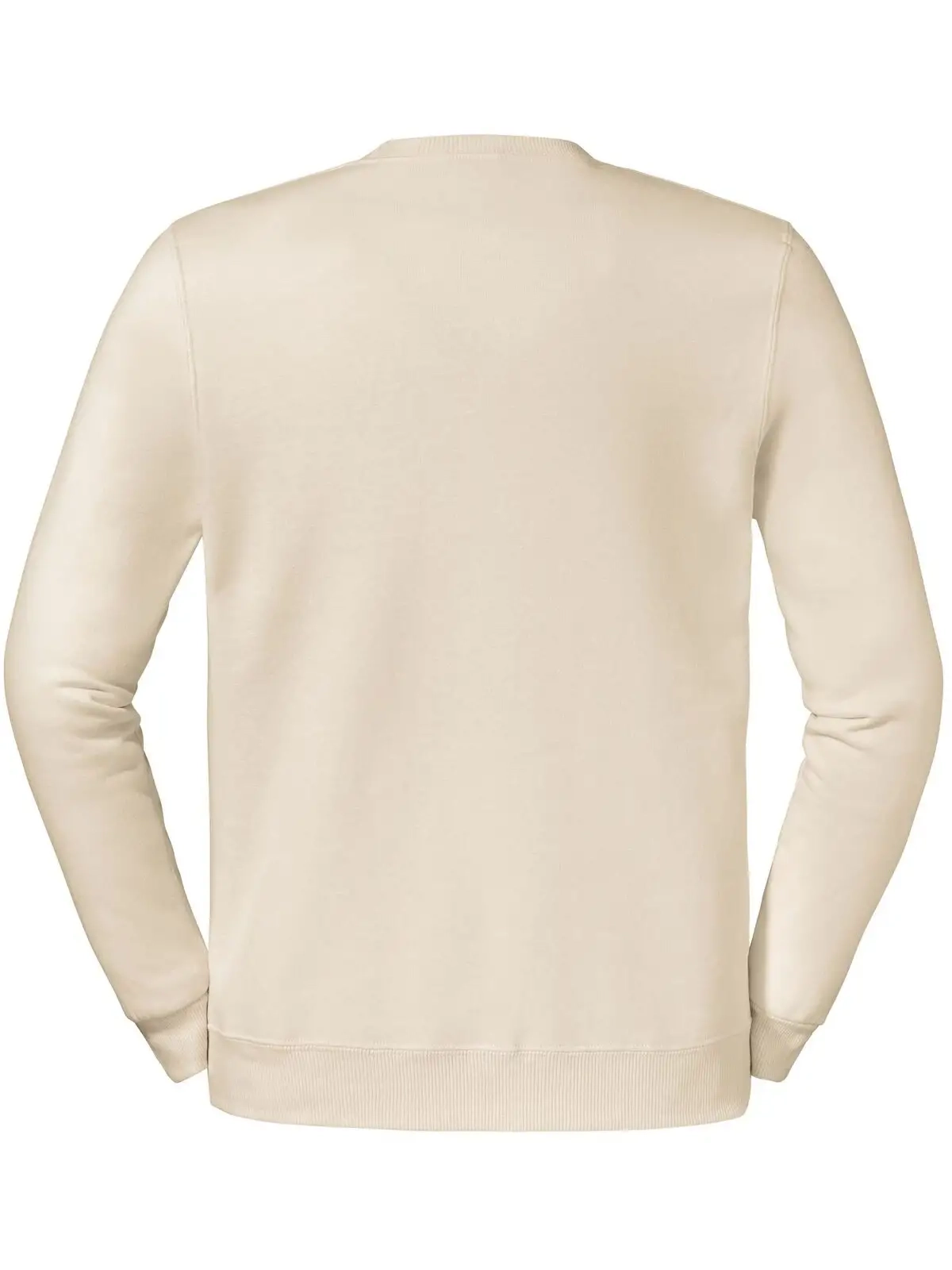 Immagine Eco Premium Blend Sweatshirt