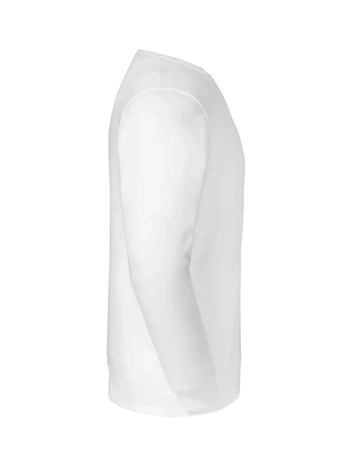 Immagine Eco Premium Blend Sweatshirt