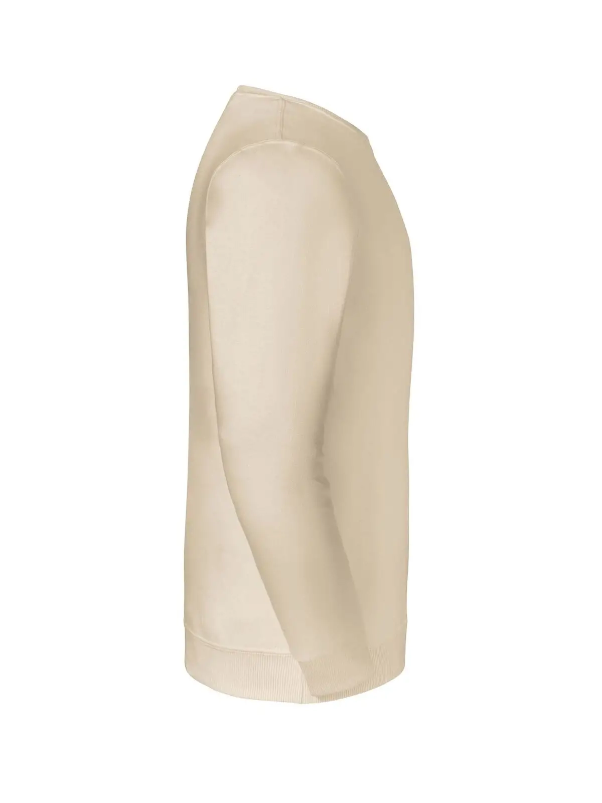 Immagine Eco Premium Blend Sweatshirt