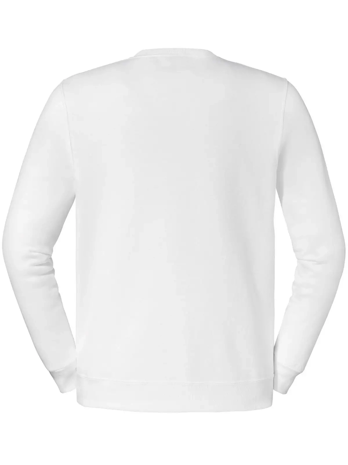 Immagine Eco Premium Blend Sweatshirt