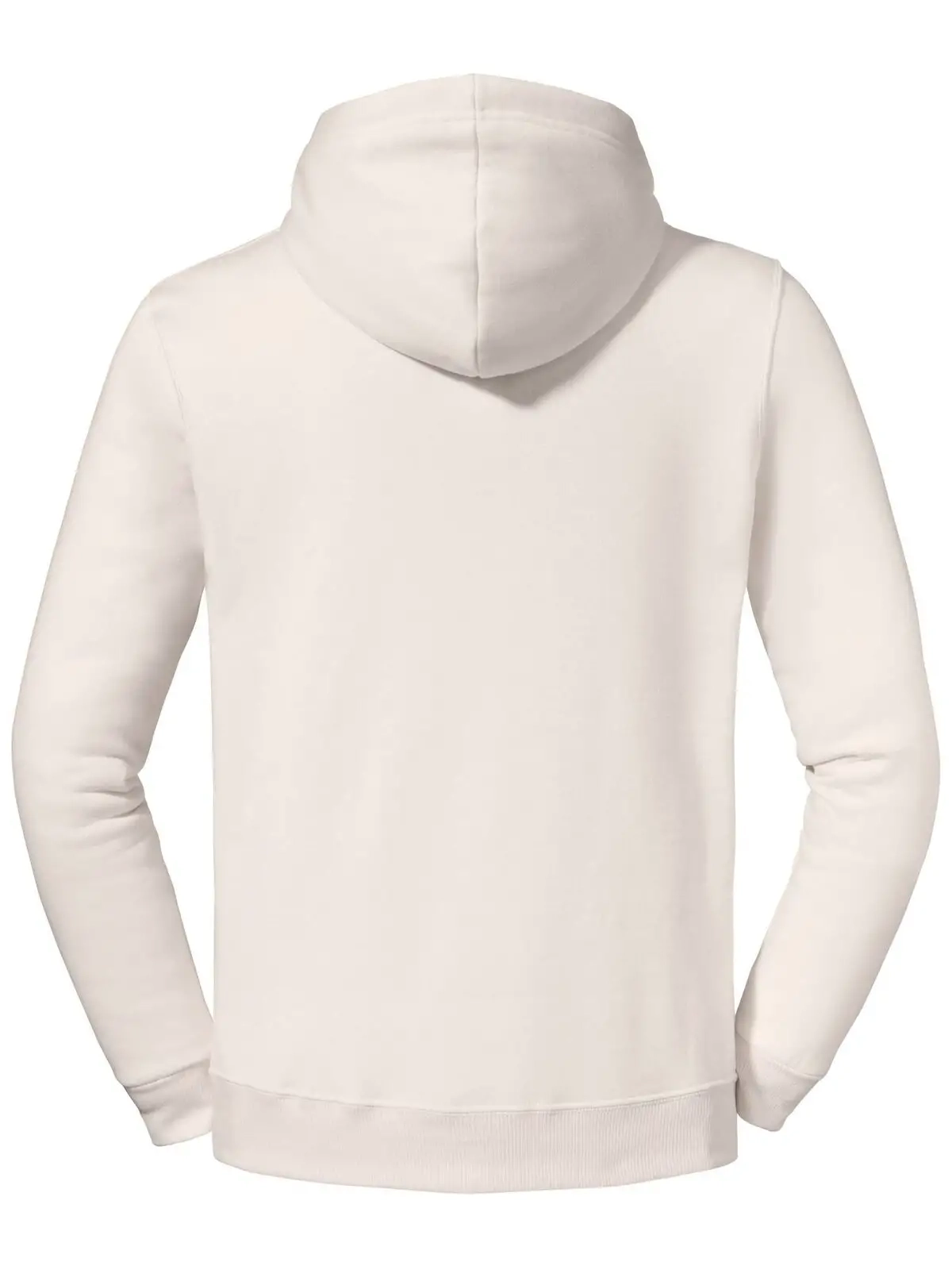 Immagine Eco Premium Blend Hooded Sweatshirt