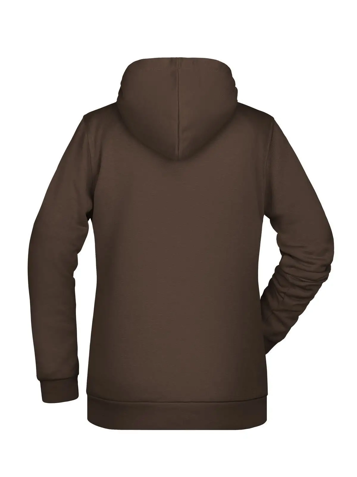 Immagine Basic Hoody Lady