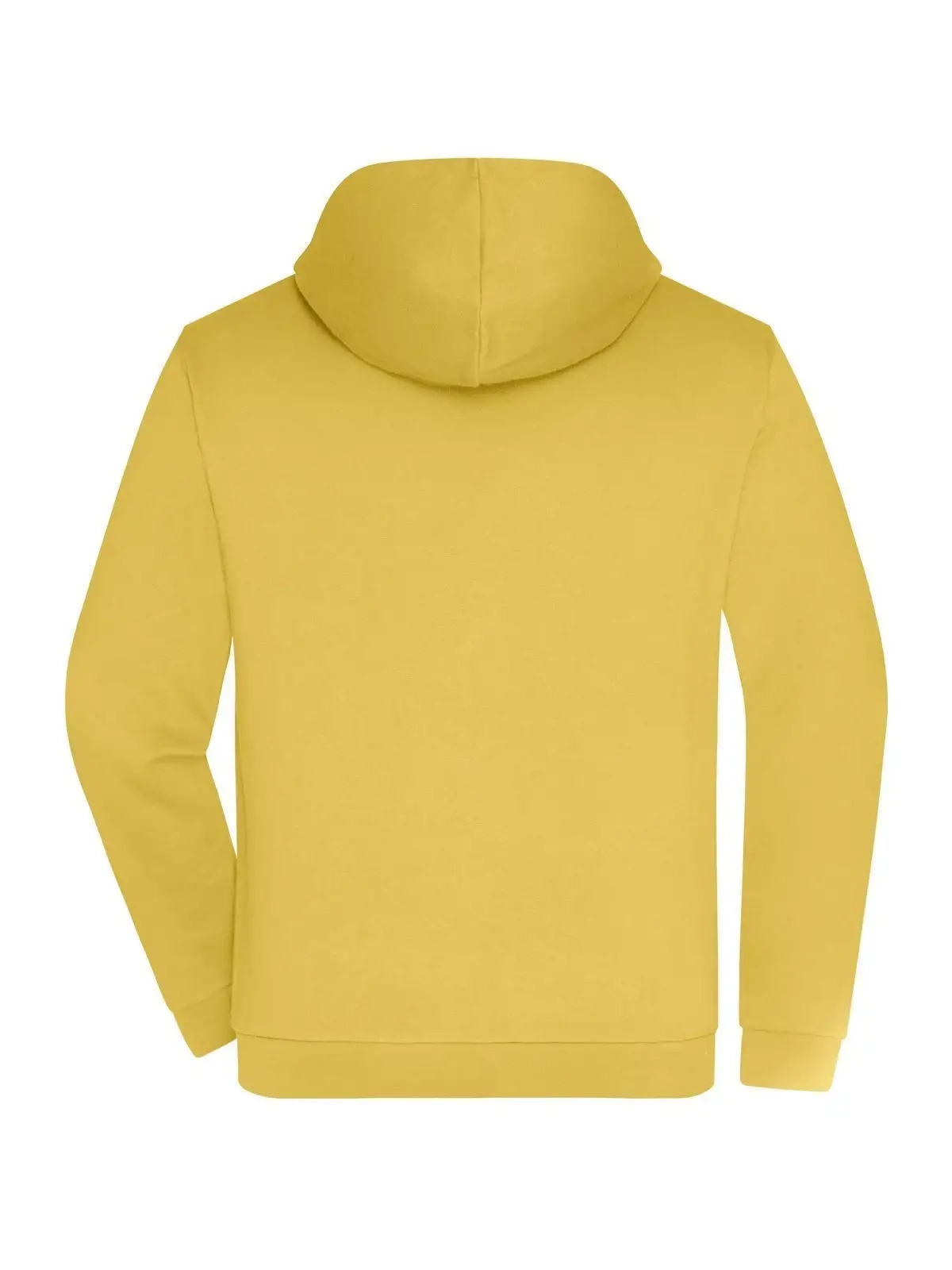 Immagine Promo Zip Hoody Men