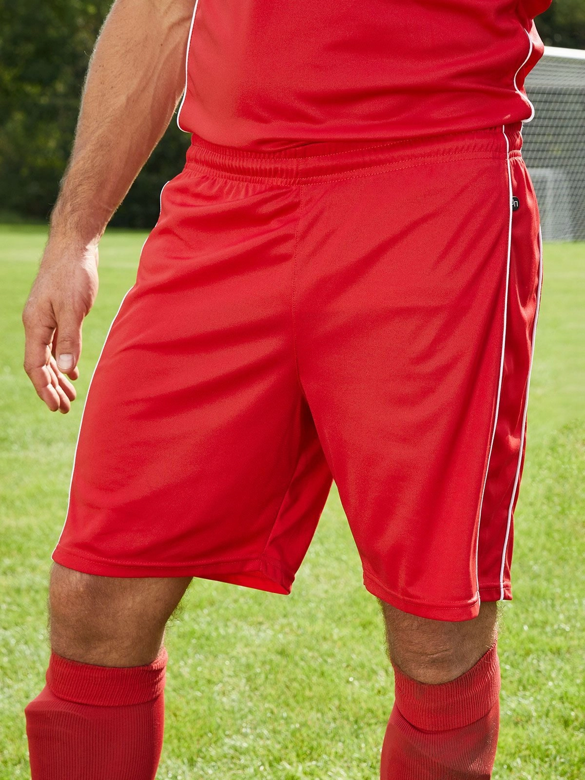 Immagine Basic Team Shorts