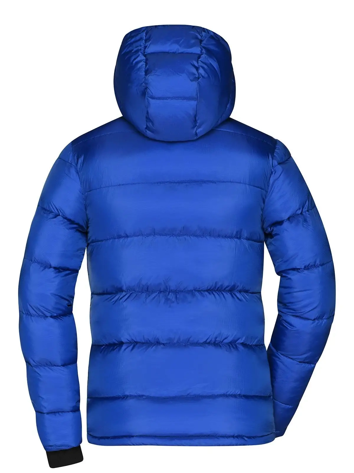 Immagine Ladies Padded Jacket