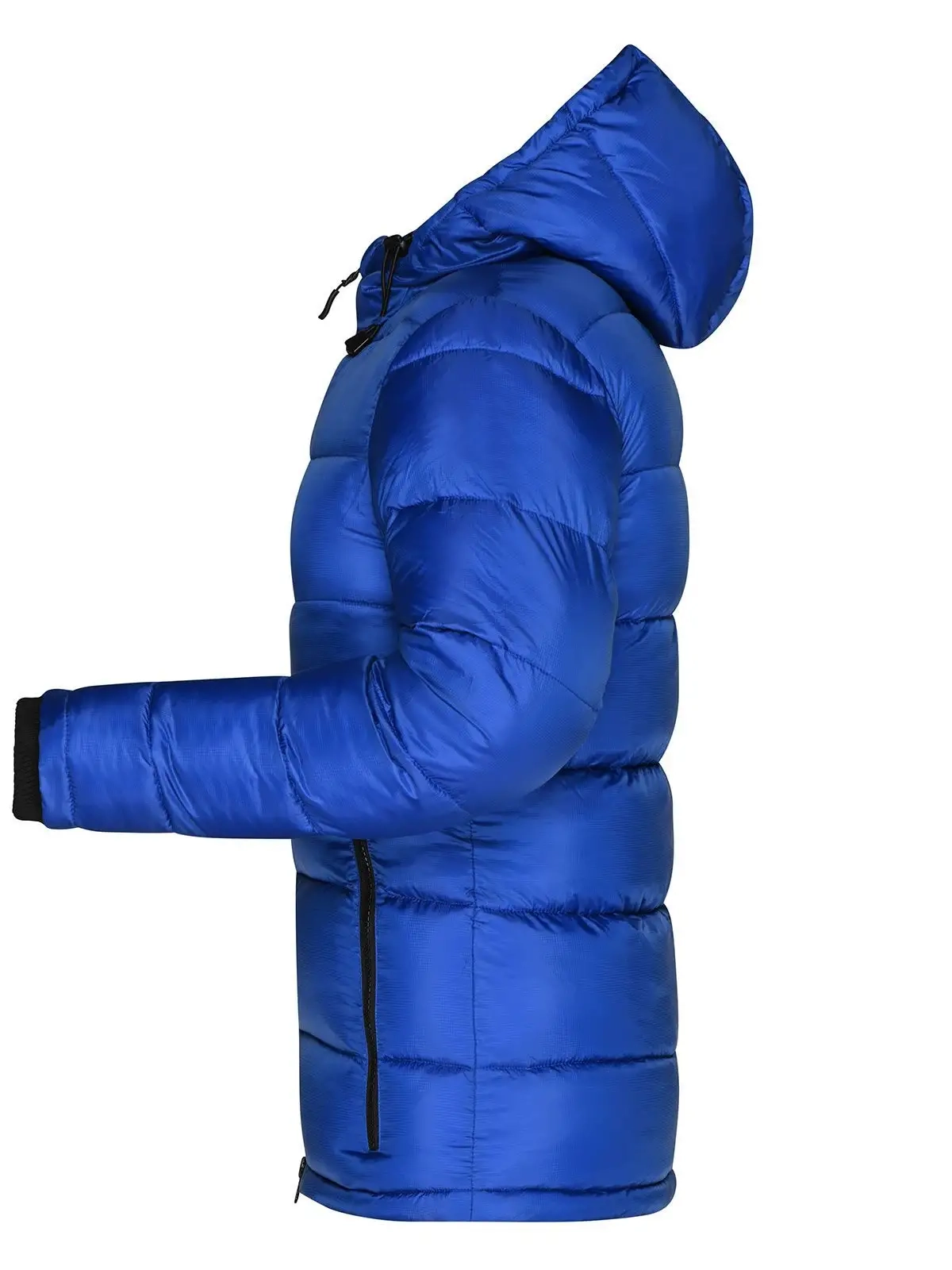 Immagine Ladies Padded Jacket