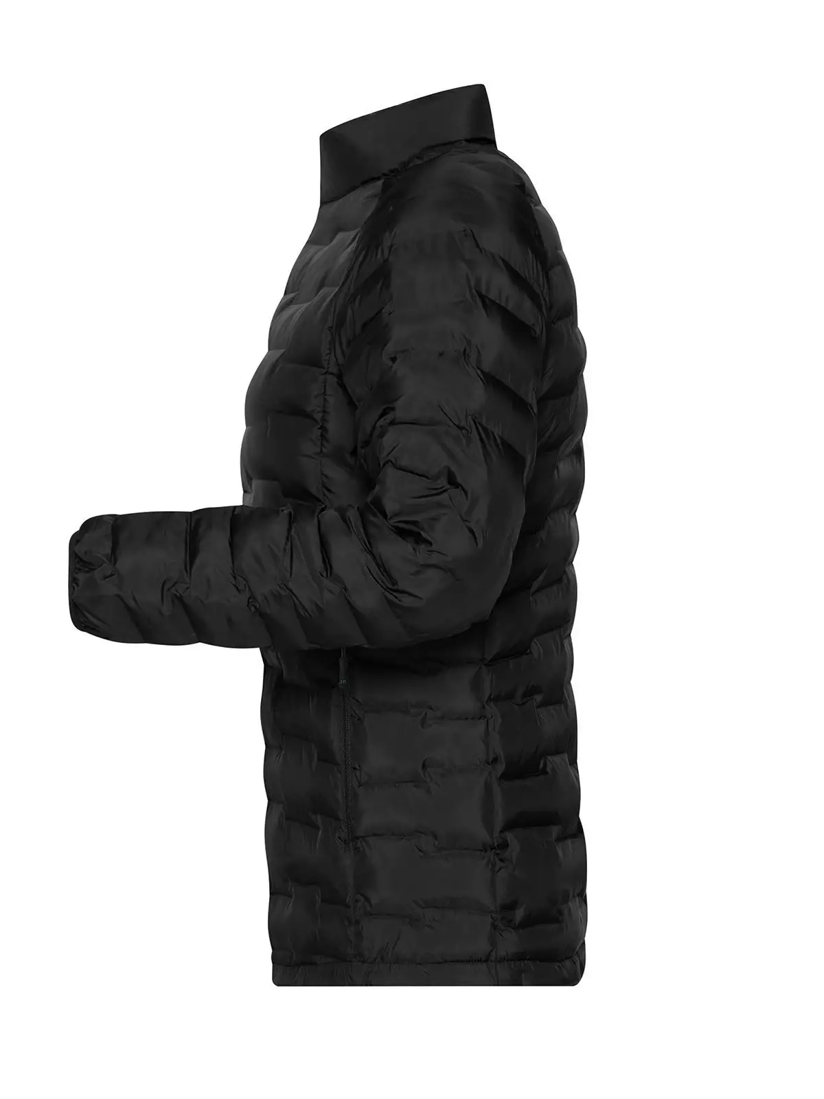 Immagine Ladies' Modern Padded Jacket
